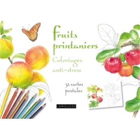Fruits printaniers coloriages anti-stress 32 cartes postales