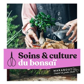 Soins et culture du bonsaï