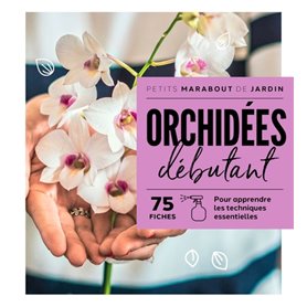Orchidées débutant