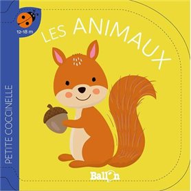 Petite coccinelle - Les animaux