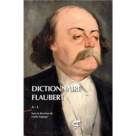 Dictionnaire Flaubert 2 volumes