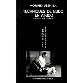 Techniques de maitre budo en aikido