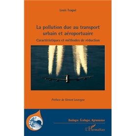 La pollution due au transport urbain et aéroportuaire