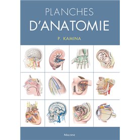 Planches d'anatomie, 3e éd. Coffret