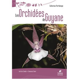 Les Orchidées de Guyane
