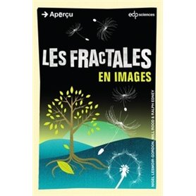 fractales en images (les)