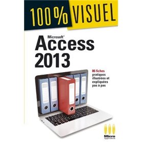 100% VISUEL ACCESS 2013