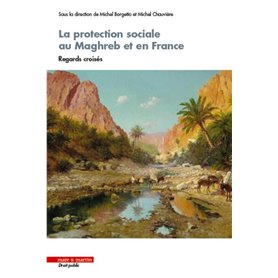 La protection sociale au Maghreb et en France