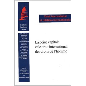 LA PEINE CAPITALE ET LE DROIT INTERNATIONAL DES DROITS DE L'HOMME