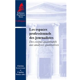 LES ESPACES PROFESSIONNELS DES JOURNALISTES