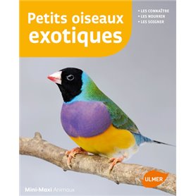 Poissons combattants - Livre Editions Ulmer - Guide Aquariophilie