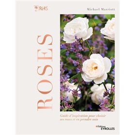 Roses - Guide d'inspiration pour choisir ses roses et en prendre soin