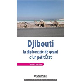 Djibouti. La diplomatie de géant d'un petit État