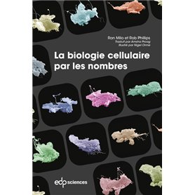 La biologie cellulaire par les nombres
