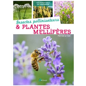 Insectes pollinisateurs et plantes mellifères