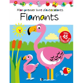 Flamants