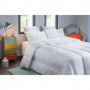 BLANREVE Couette tres chaude Percale - 420g/m² - 140x200 85,99 €