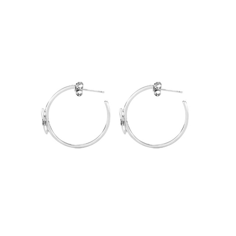 Boucles d'oreilles Femme Radiant RY000034 Acier inoxydable 3 cm