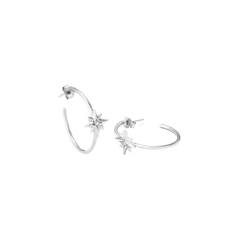 Image secondaire de Boucles d'oreilles Femme Radiant RY000034 Acier inoxydable 3 cm