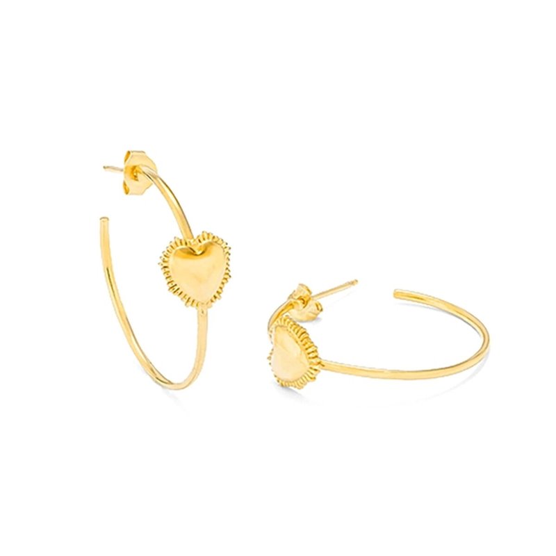 Boucles d'oreilles Femme Radiant RY000057 Acier inoxydable 3 cm