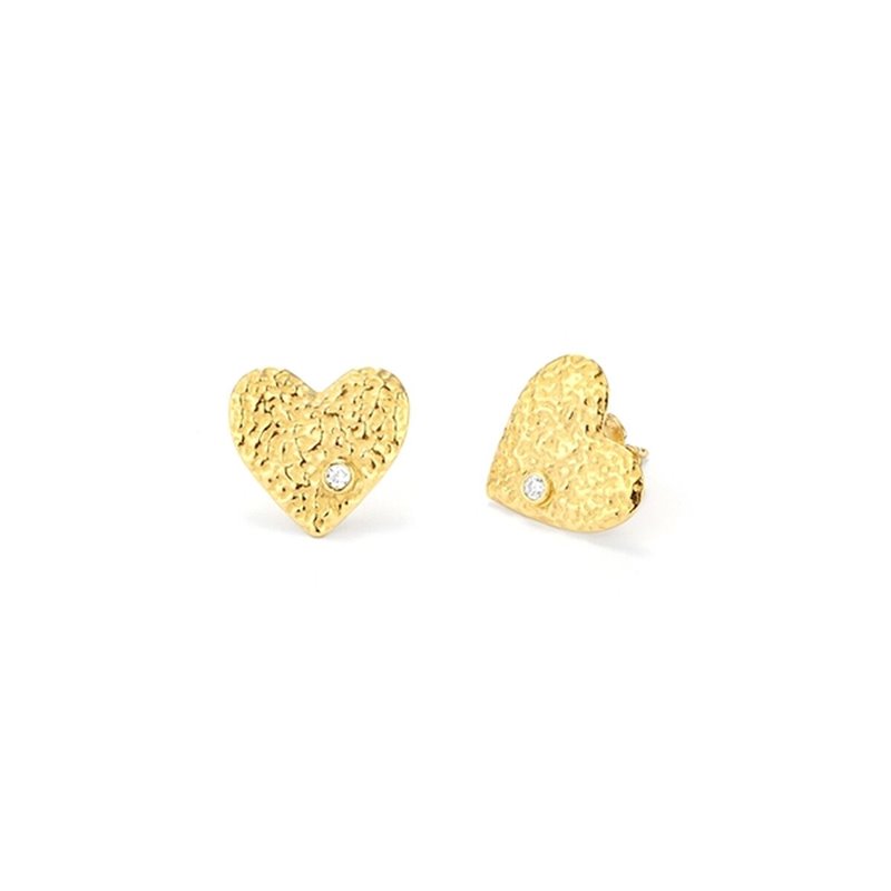 Boucles d'oreilles Femme Radiant RY000101 Acier inoxydable 2 cm