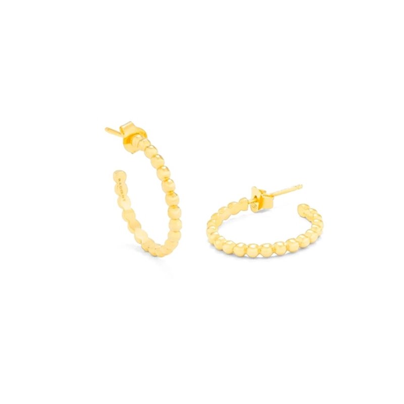 Boucles d'oreilles Femme Radiant RY000016 Acier inoxydable 3 cm