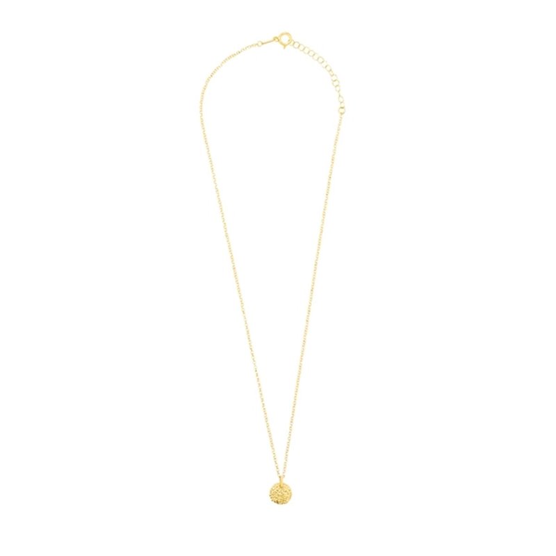 Collier Radiant RY000028 50 cm