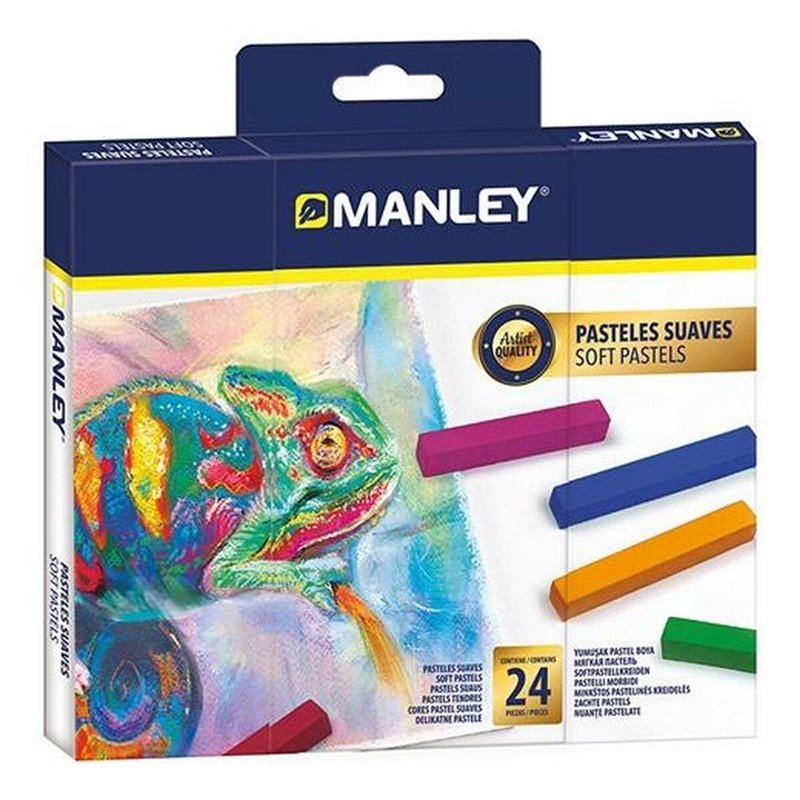 Gâteaux Manley MSP00024 Multicouleur 24 Pièces