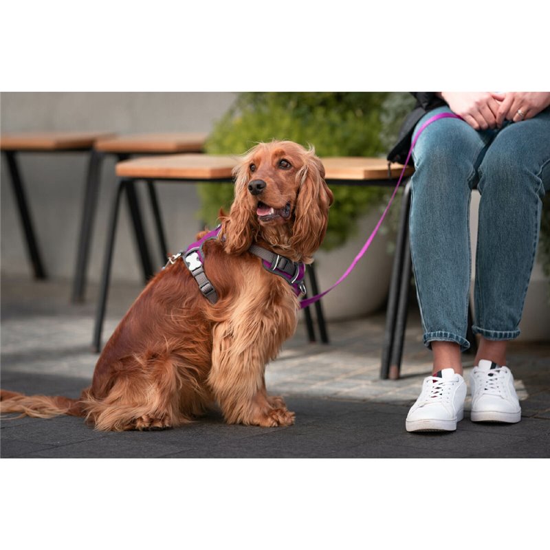 Image secondaire de Harnais pour Chien Red Dingo Dingo 25-36 cm 31-43 cm Violet XS