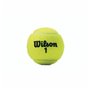Balles de Tennis Wilson Championship XD  (3 pcs)