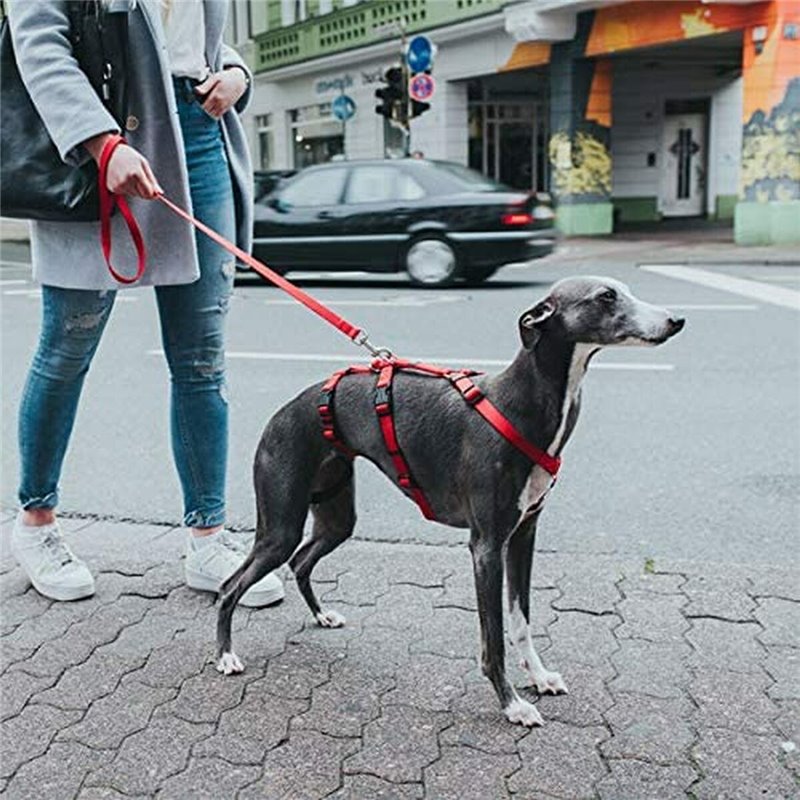 Image secondaire de Harnais pour Chien Hunter 48-70 cm Rouge S/M 36-51 cm