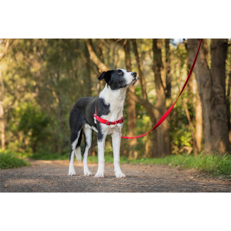 Image secondaire de Harnais pour Chien Red Dingo 30-42 cm Rouge XS