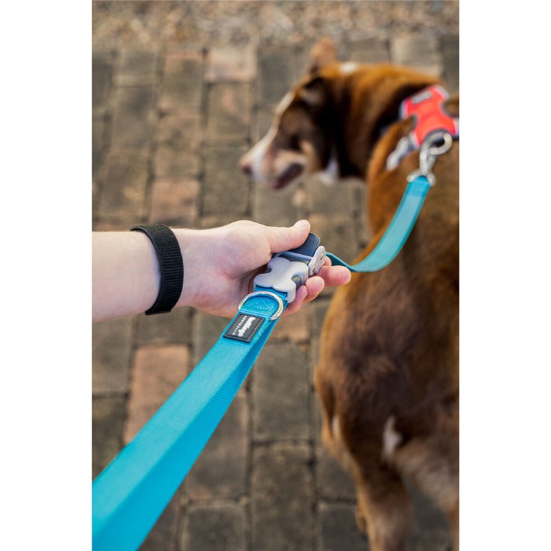 Image secondaire de Laisse pour Chien Red Dingo Turquoise