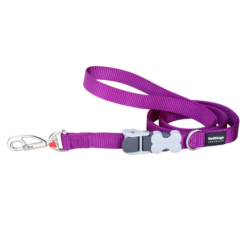 Laisse pour Chien Red Dingo Violet