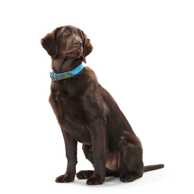 Image secondaire de Collier pour Chien Hunter Convenience 47-55 cm L Turquoise