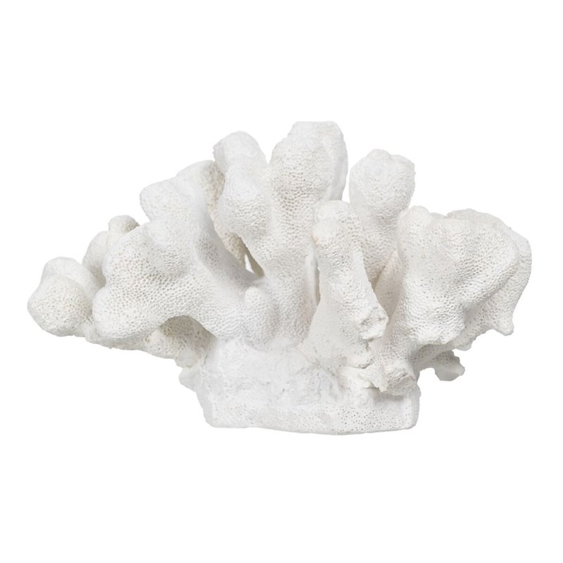 Image secondaire de Figurine Décorative Blanc Corail 19 x 14 x 11 cm