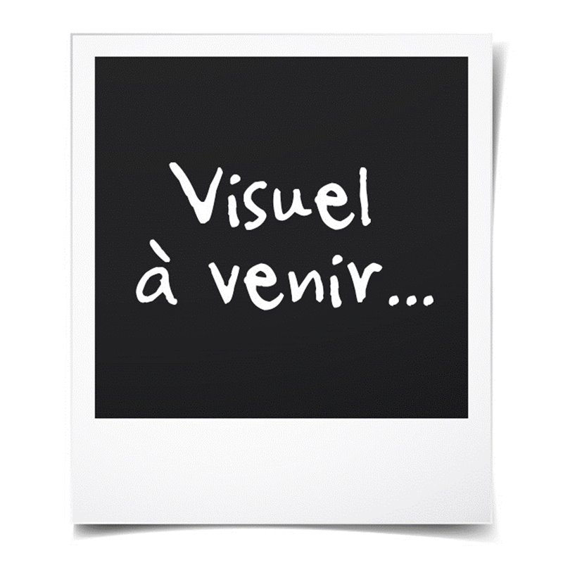 Image secondaire de Ewent EW3980 adaptateur de puissance & onduleur Intérieure 65 W Noir