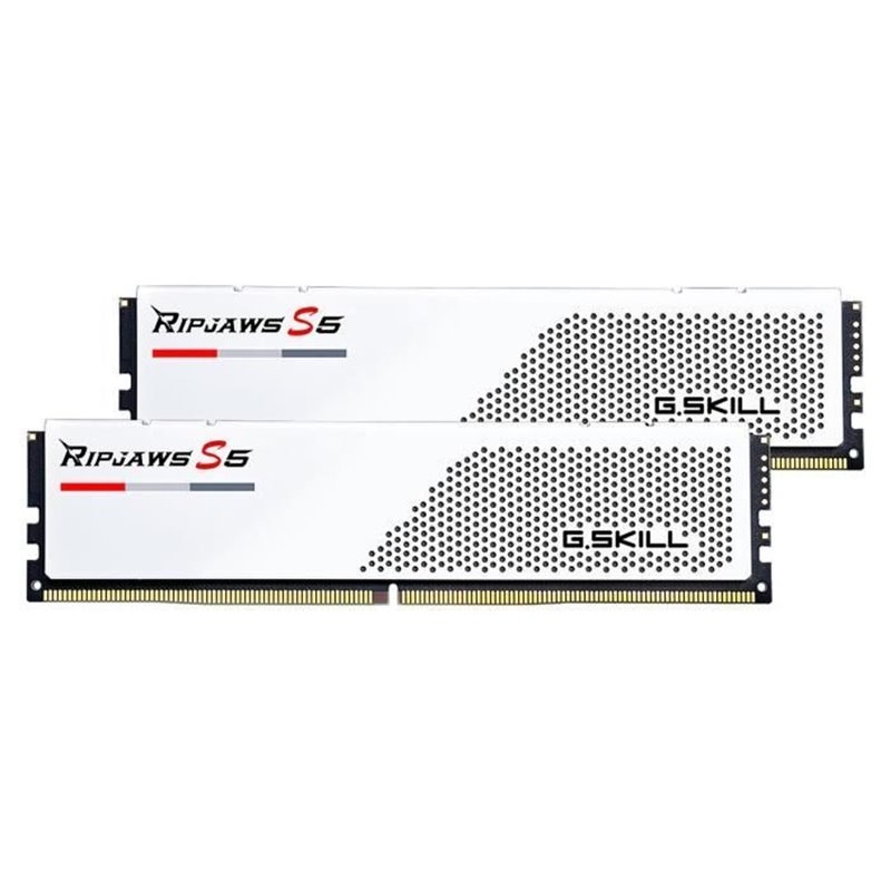 Mémoire RAM GSKILL F5-6000J3040F16GX2-RS5W DDR5 DDR5 SDRAM 32 GB CL40