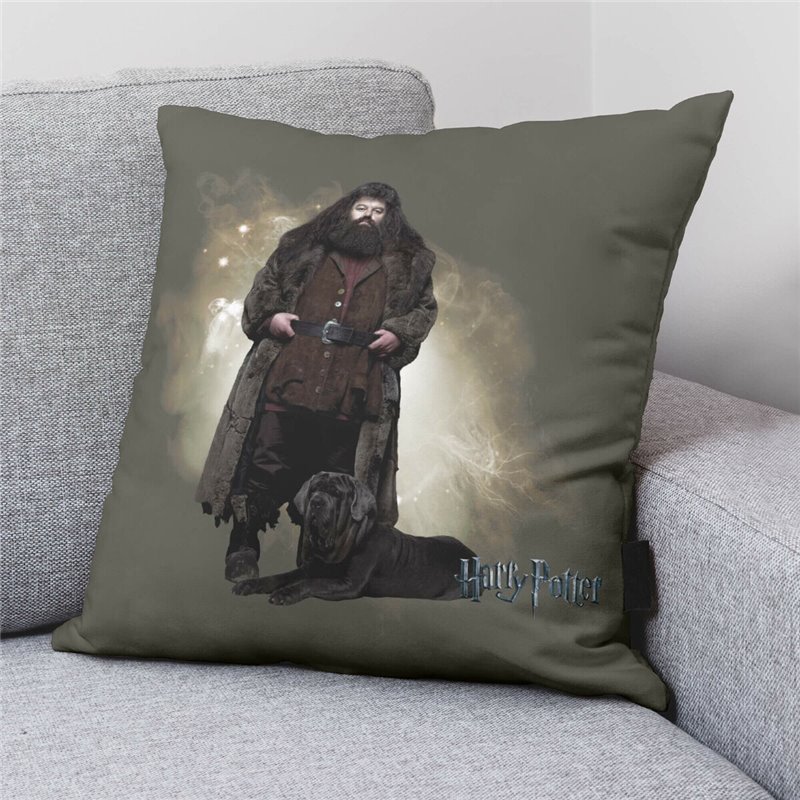 Image secondaire de Housse de coussin Harry Potter Hagrid Multicouleur 50 x 50 cm