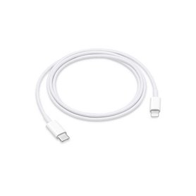 Câble USB-C vers Lightning Apple Blanc 1 m