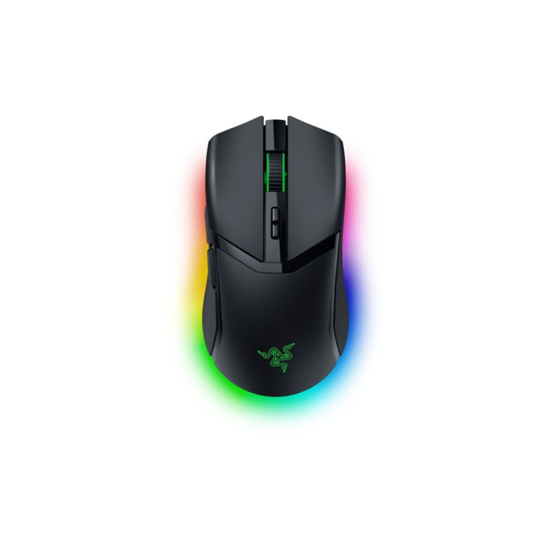 Souris Razer RZ01-04660100-R3G1