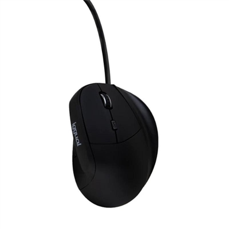 Iggual IGG318386 souris Bureau Droitier USB Type-A Optique 2400 DPI