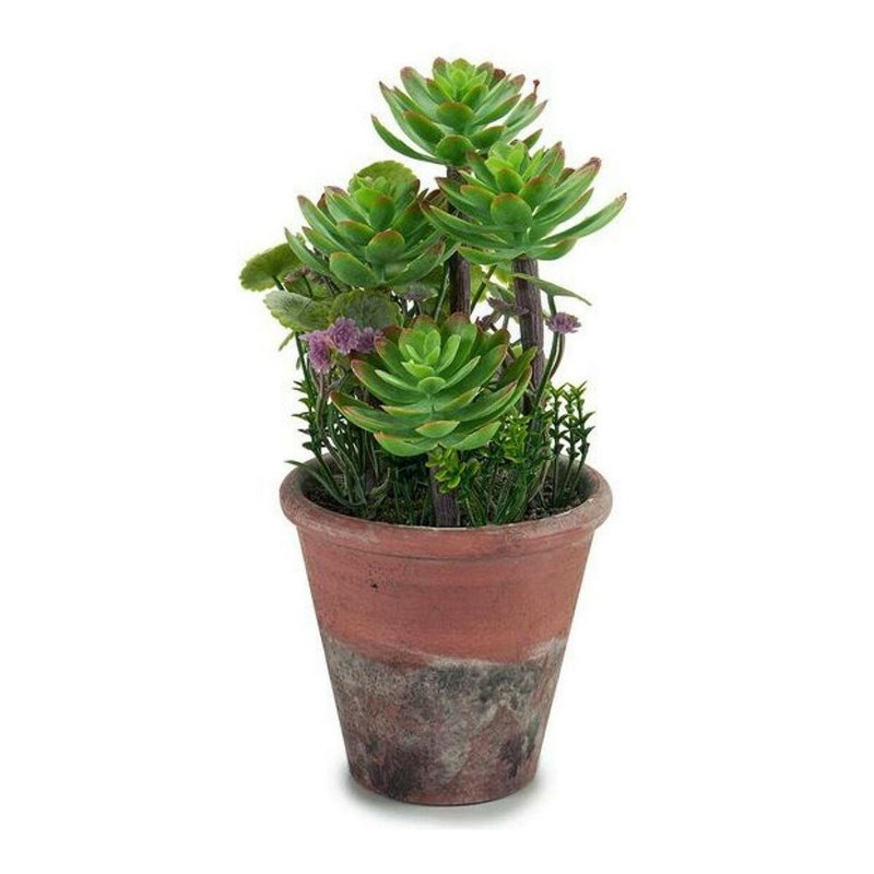 Plante décorative Plastique