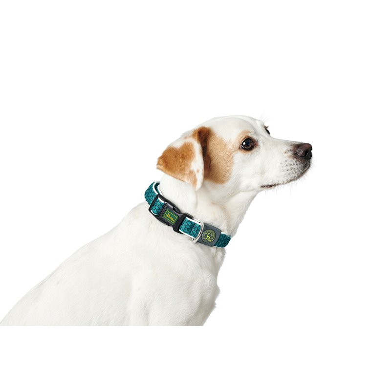 Image secondaire de Collier pour Chien Hunter Turquoise 12