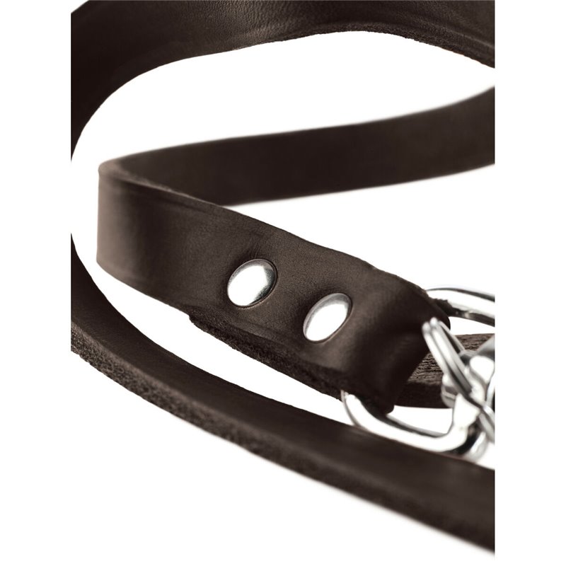 Image secondaire de Laisse pour Chien Hunter Marron 2 m Réglable Cuir