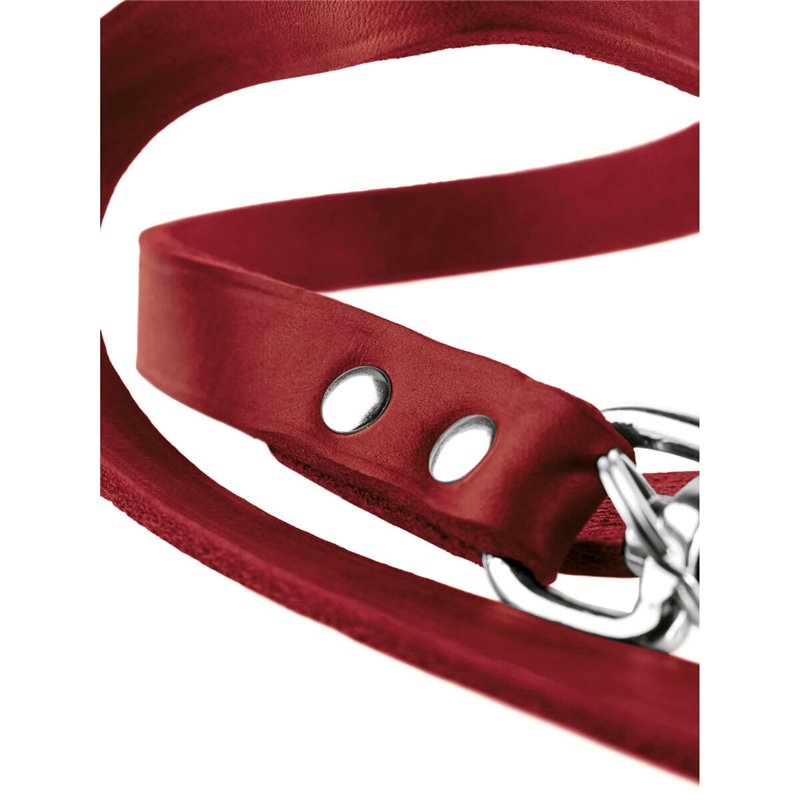 Image secondaire de Laisse pour Chien Hunter Rouge 2 m Réglable Cuir