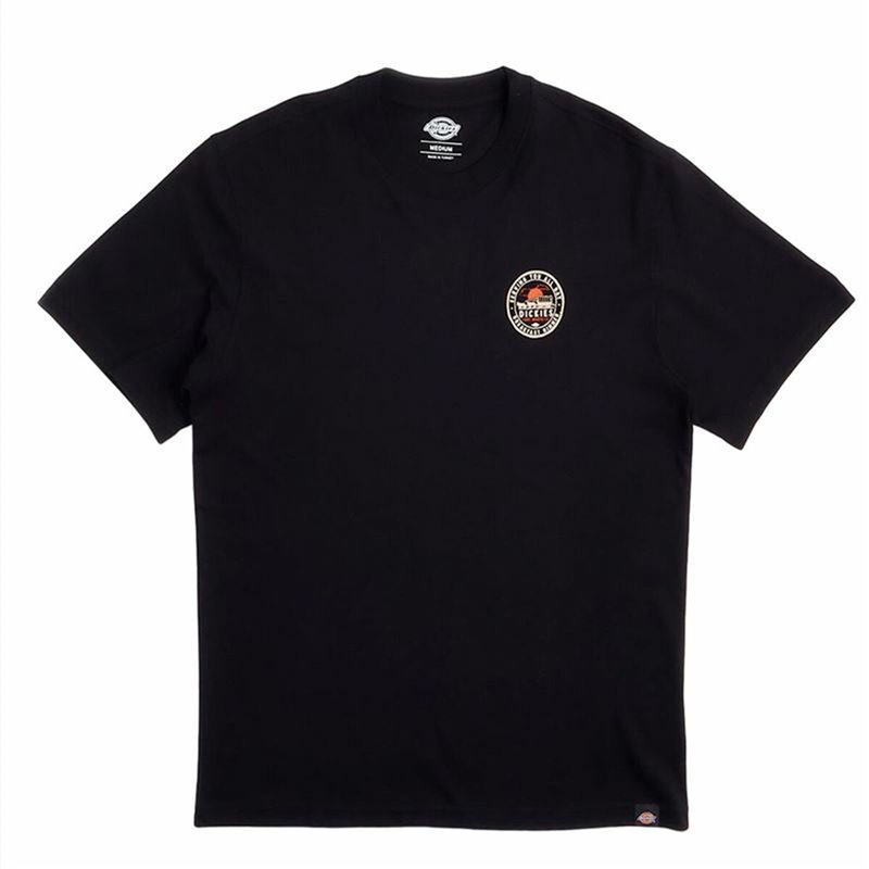 T-Shirt à manches courtes homme Dickies Greensburg Noir