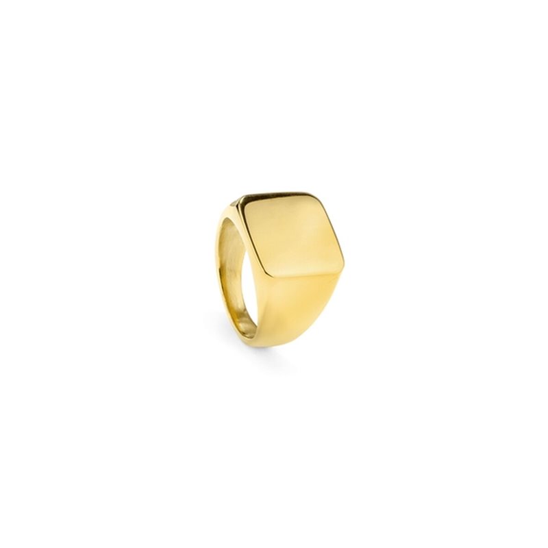 Bague Homme Radiant RH000027-24 24