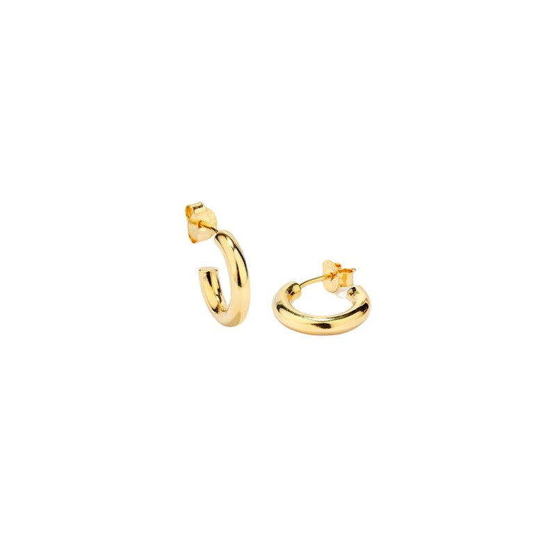 Boucles d'oreilles Femme Radiant RY000226