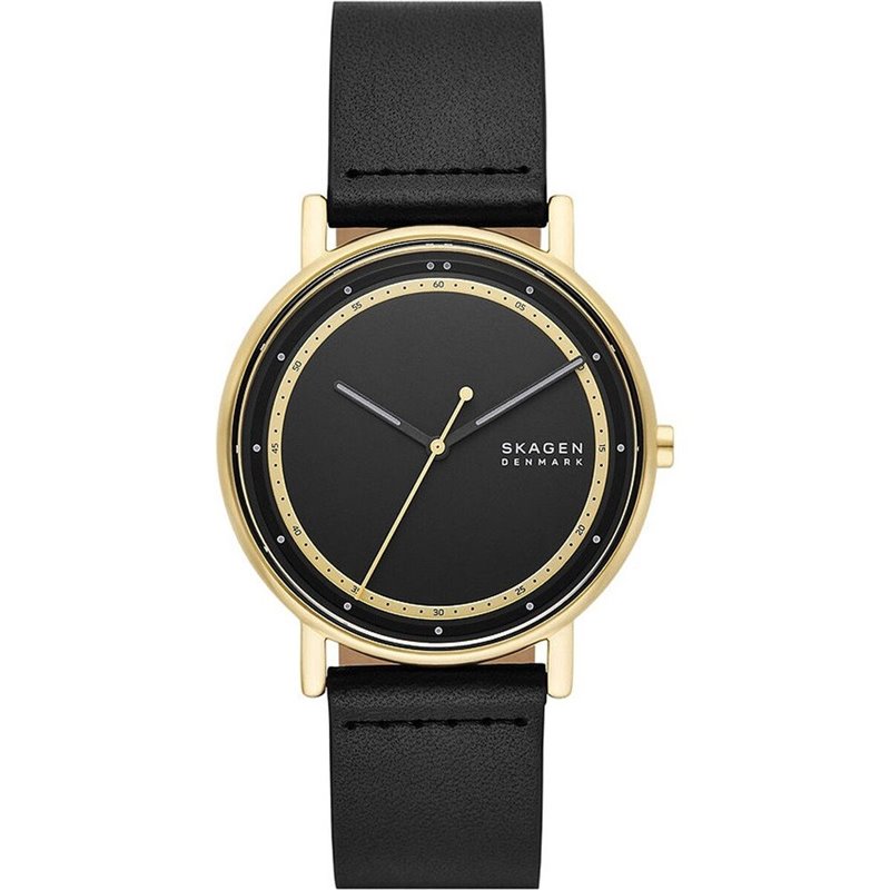 Montre Homme Skagen SIGNATUR (Ø 40 mm)